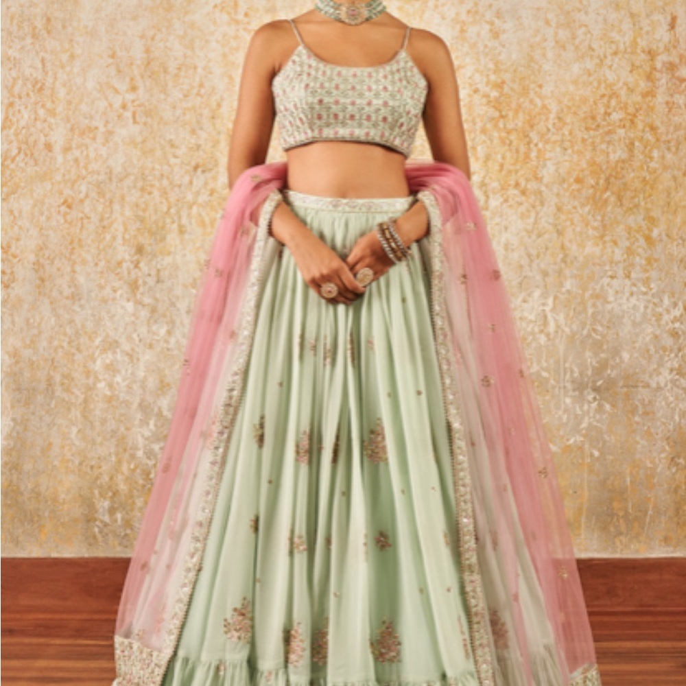 Light Mint embroidered Lehenga